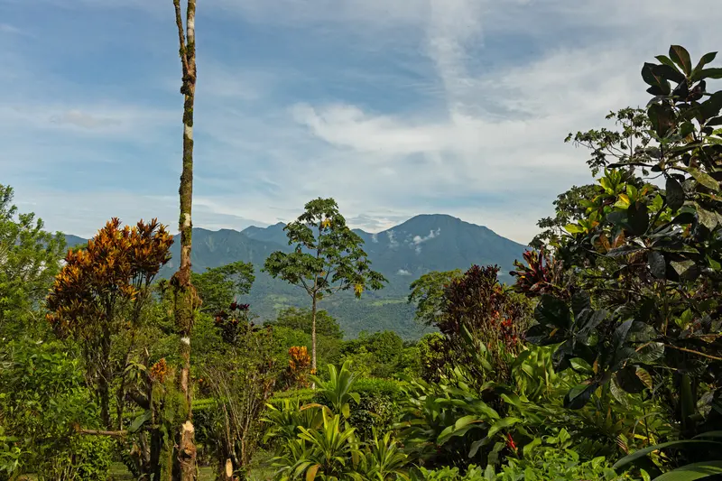 5 Best Places to Elope in Costa Rica