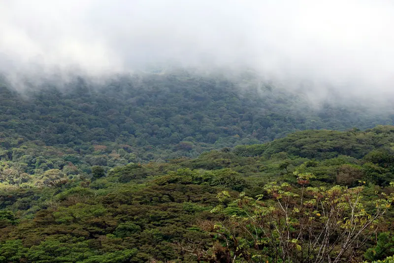 5 Best Places to Elope in Costa Rica