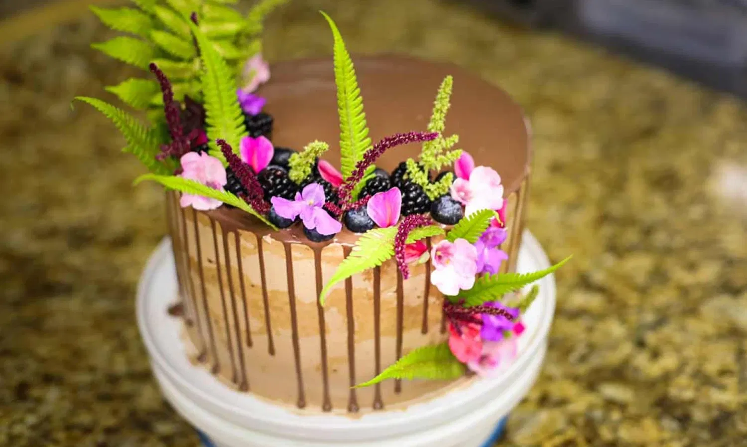 Elopement Weddings in Costa Rica at Origins Lodge: The Ultimate Guide