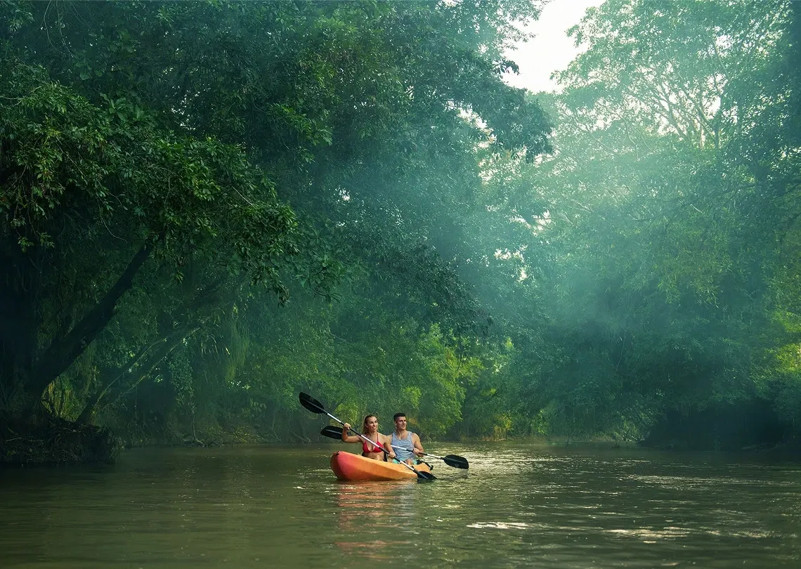 Indulge In Discovery