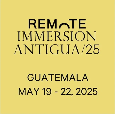 Remote immersion