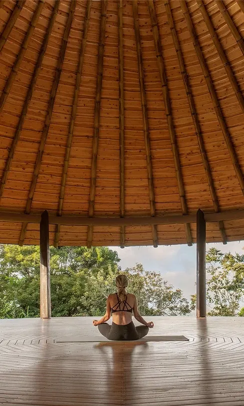 Wellness