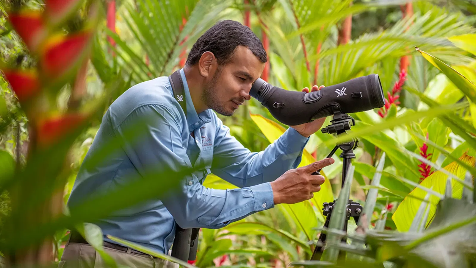 Thanksgiving in Costa Rica: Gratitude in the Rainforest